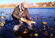  Captura de Pesca con Mosca de Salmo trutta por Guillermo Biasola – Fly dreamers