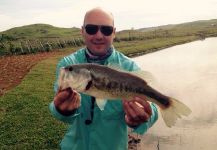 Douglas Caberlon 's Fly-fishing Pic of a lakseabbor – Fly dreamers 