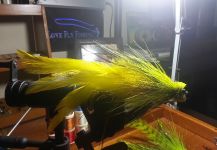 Luiz Logo 's Fly-tying for Golden Dorado - Picture – Fly dreamers 