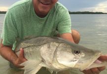  Situación de Pesca con Mosca de Snook - Róbalo – Fotografía por Scott Marr en Fly dreamers