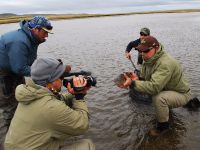 Foto de pesca con mosca