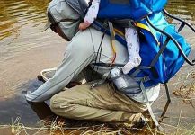 Interesting Fly-fishing Situation of California golden trout - Image shared by Deep Creek Outfitters – Fly dreamers