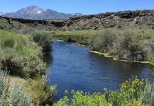 Interesting Fly-fishing Situation Photo by Deep Creek Outfitters 