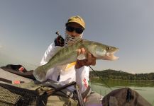 Fly-fishing Image of Walleye shared by Henrik Megyer – Fly dreamers