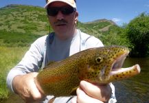  Interesante Situación de Pesca con Mosca de Trucha arcoiris – Por Scott Marr en Fly dreamers