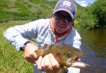  Situación de Pesca con Mosca de Trucha arcoiris– Foto por Scott Marr en Fly dreamers