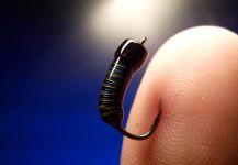 Fly-tying for Rainbow trout - Image by Carlos Estrada 