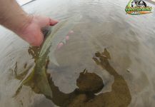 Oliver Otto 's Fly-fishing Picture of a Yellowfish – Fly dreamers 