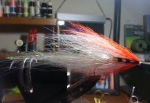 Baitfish fly