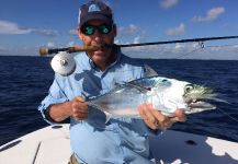 David Bullard 's Fly-fishing Photo of a False Albacore - Little Tunny – Fly dreamers 