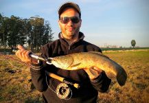  Foto de Pesca con Mosca de Tararira compartida por Gabriel Badano | Fly dreamers