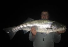 Fly-fishing Photo of Striped Bass shared by Rutger Wilson – Fly dreamers 