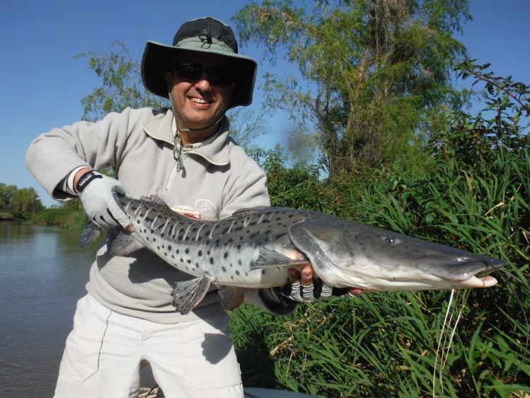 Surubí de 9 kg capturado en el delta del Isoro de Goya con el excelente guía y amigo Carlos Scheller. Utilicé caña 8 St Croix y linea de hundimiento de 250 gr. Streamer negro