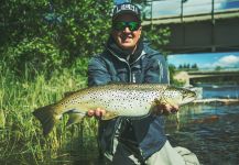  Captura de Pesca con Mosca de Trucha marrón por Alexander Lexén – Fly dreamers