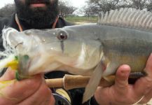  Fotografía de Pesca con Mosca de San Antonito por Juan Franco Menna – Fly dreamers 