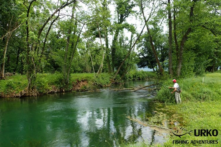 Alessandro will probably have nightmares about this spot and rising grayling on the far bank ... And three feeding Danubian salmons, which were swimming in the pool! :)