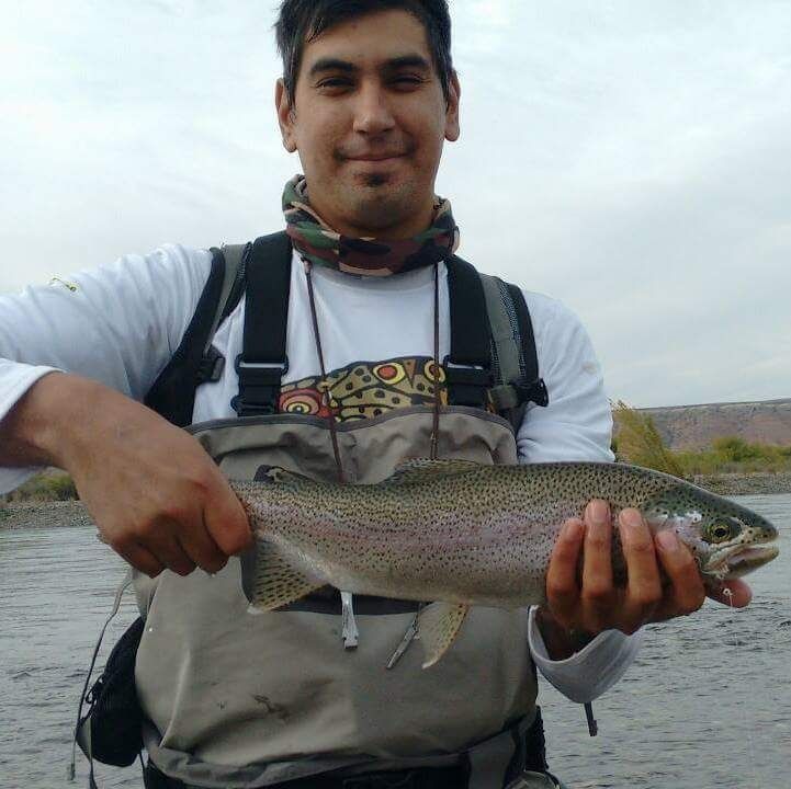 Trucha arco iris  pescada en limay medio estancia fortin nogueira  con equipo #6 linia de flote y imitacion de alevino peinando bien la mosca en la superficie como me gusta buscarlas asi bien arriba ! 