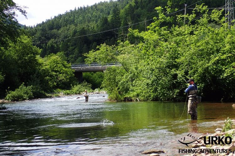 Poljanska Sora - Angling Club Žiri