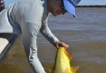 Andes Drifters 's Fly-fishing Photo of a jaw characin – Fly dreamers 