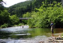 Good Fly-fishing Situation of Lady of the stream - Photo shared by Uros Kristan – Fly dreamers 