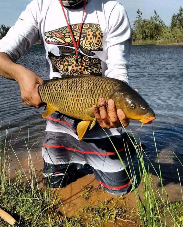 Pescando carpas en neuquen !