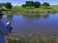 Foto de pesca con mosca