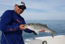 Fly-fishing Image of Striper shared by Chanan Chansrisuriyawong – Fly dreamers