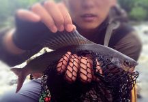 海洋 银 's Fly-fishing Picture of a Arctic grayling | Fly dreamers 