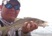  Imagen de Pesca con Mosca de Snook - Róbalo por Emerson Bermudez | Fly dreamers