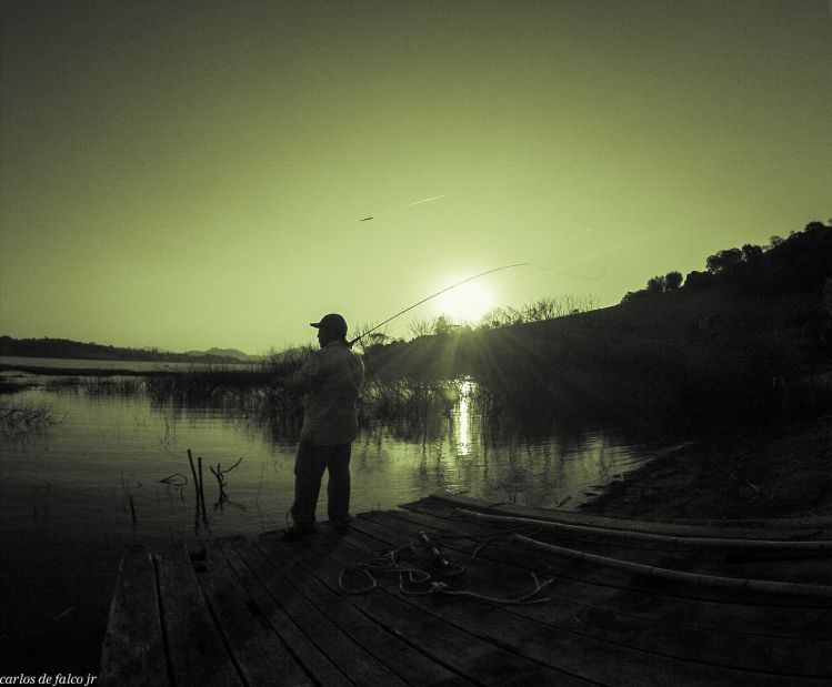 Peacock bass, tucunaré.