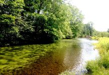 New York State rivers