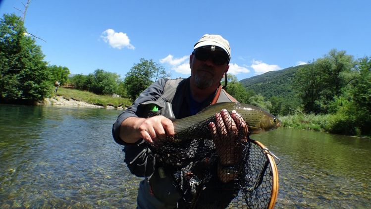 50cm Grayling from 
River Lim Montenegro (July 2016)