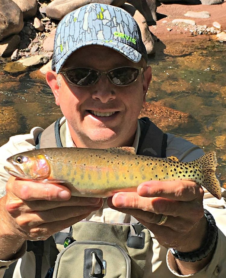 Colorado River Cutthroat (Uinta Mtns - northern UT | Aug 2016)