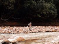 Fly fishing picture