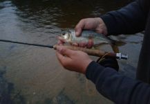  Una Genial foto de Pesca con Mosca por Claudio Romero