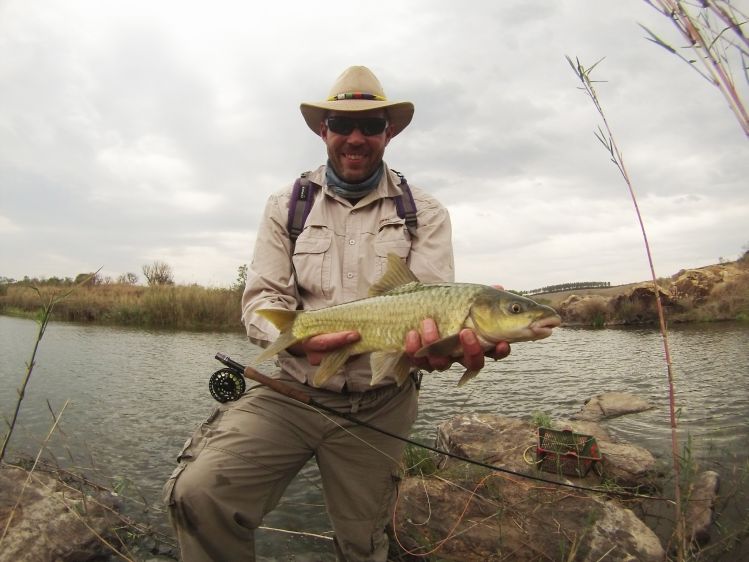 Largescale Yellowfish