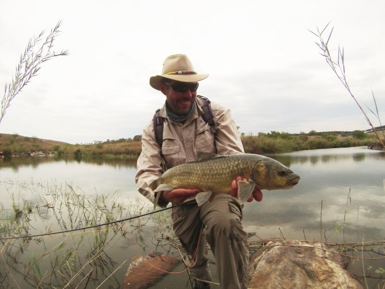 Beast of a Smallscale Yellowfish