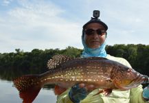  Fotografía de Pesca con Mosca de Tucunare - Pavón por Guillermo Hermoso – Fly dreamers