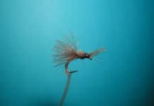 Fly-tying for Arctic grayling - Picture shared by Agostino Roncallo – Fly dreamers