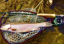  Trucha arcoiris – Situación de Pesca con Mosca – Por Scott Marr