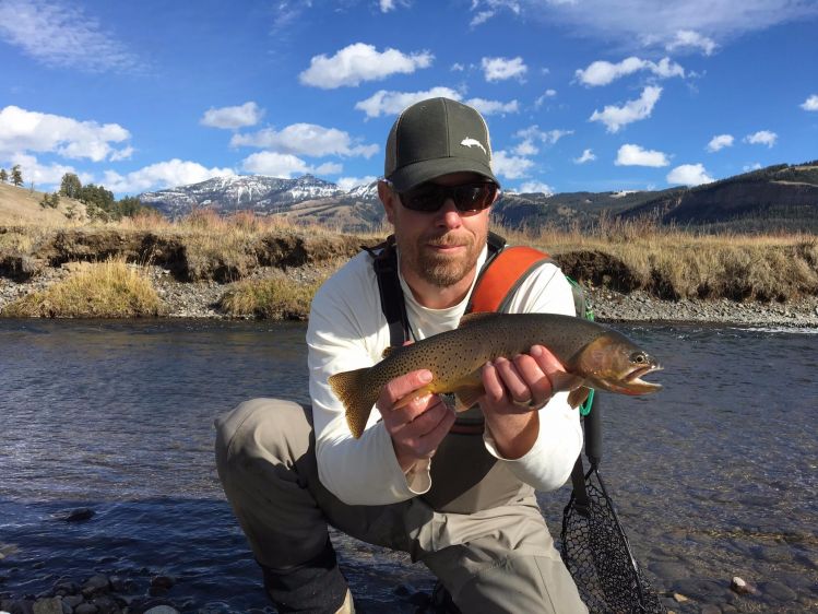 Yellowstone cutty