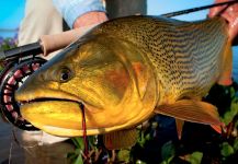  Foto de Pesca con Mosca de jaw characin por Fabian Anastasio – Fly dreamers 