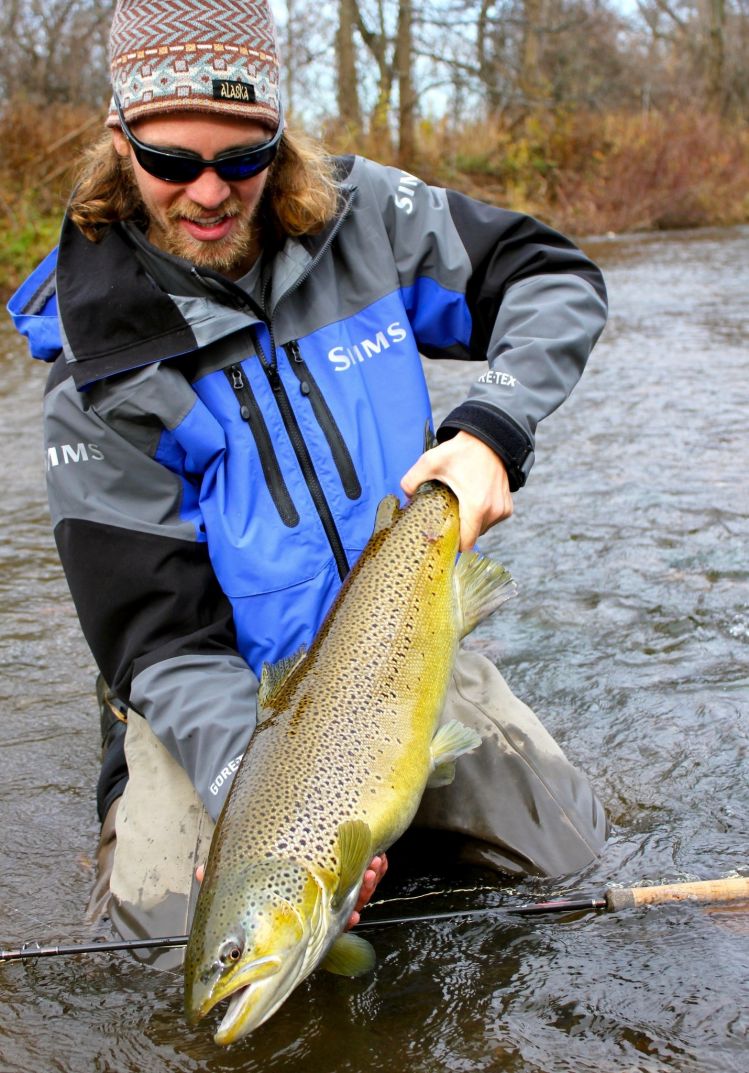 12 pound New York Lake Run Brown Trout