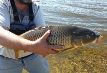 carpa lago san roque