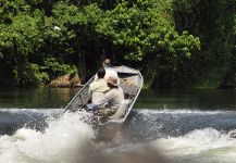 Fly-fishing Situation of Peacock Bass - Photo shared by Marcelo Morales | Fly dreamers 