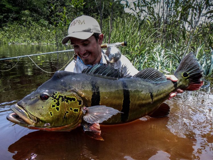 Tucunaré Açu del Rio Marie 