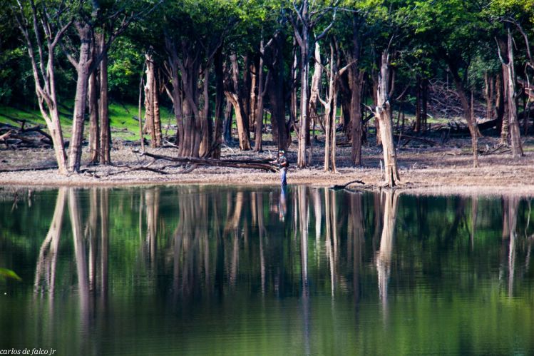 Fishing in the Amazon