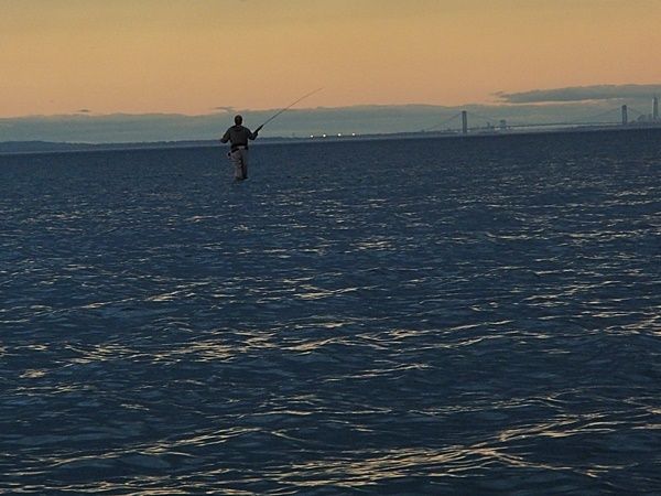 My friend Hugh standing on an engine (yes, an engine......the only thing left from a boat that ended up on the flats in a storm) in 3 1/2 feet of water. Getting a better view of the far off bait.