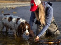 Fly fishing picture