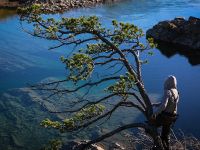 Fly fishing picture